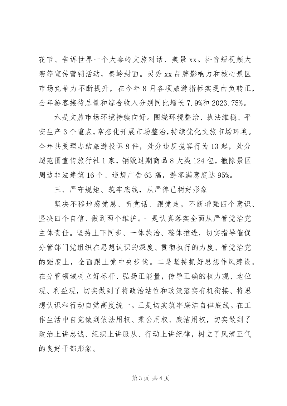 2023年景区管委会主任度述职述廉述效报告.docx_第3页