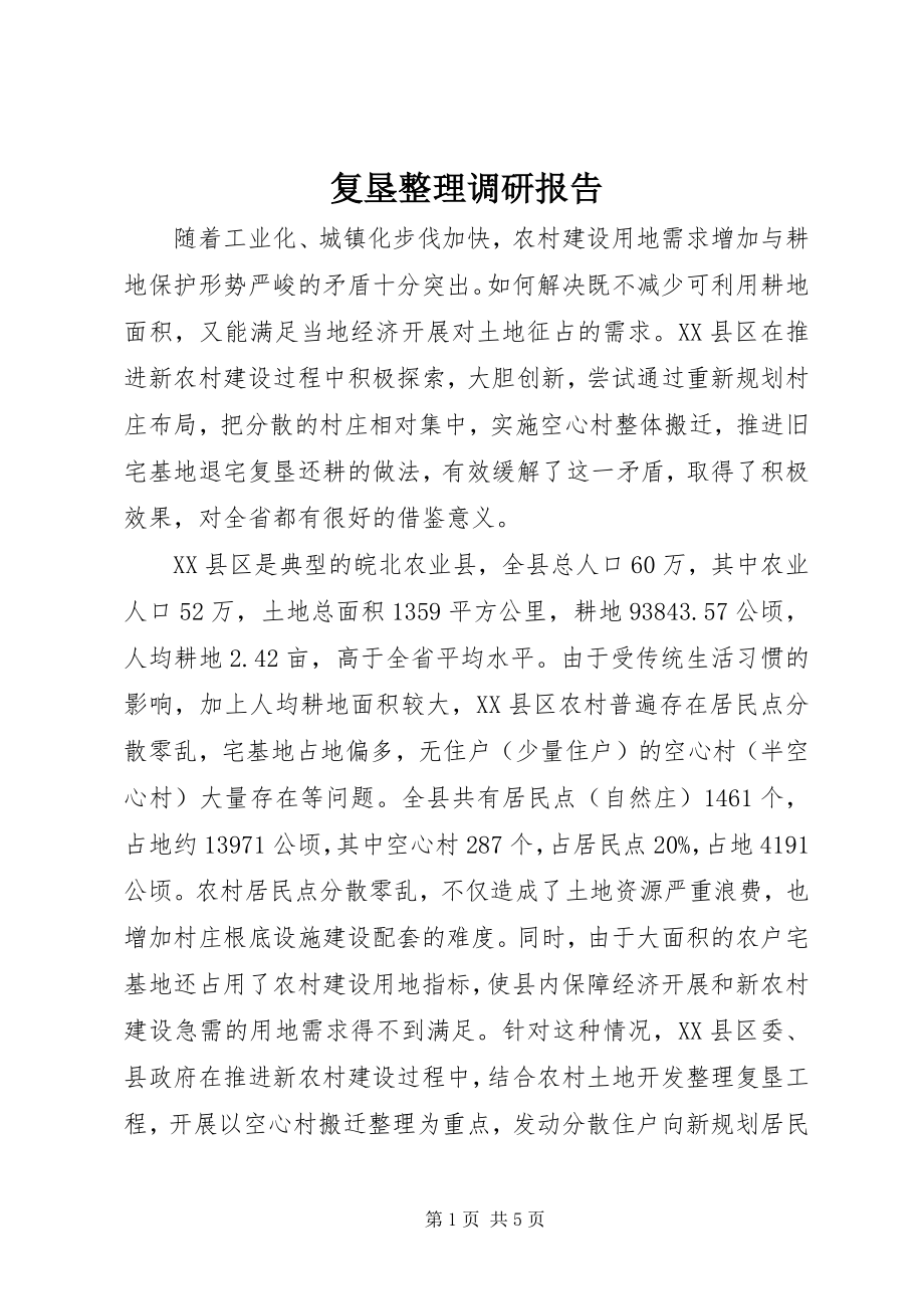 2023年复垦整理调研报告.docx_第1页