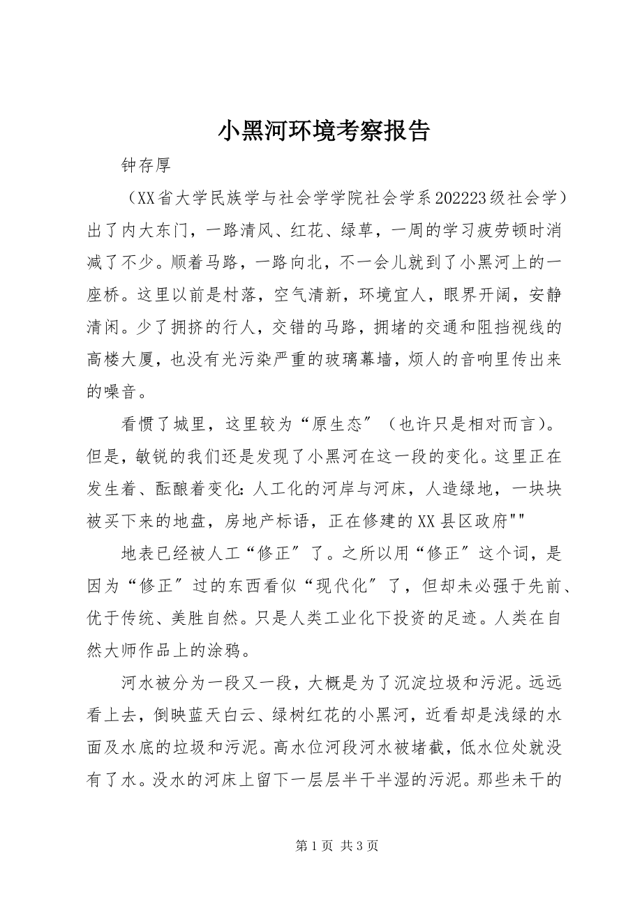 2023年小黑河环境考察报告.docx_第1页