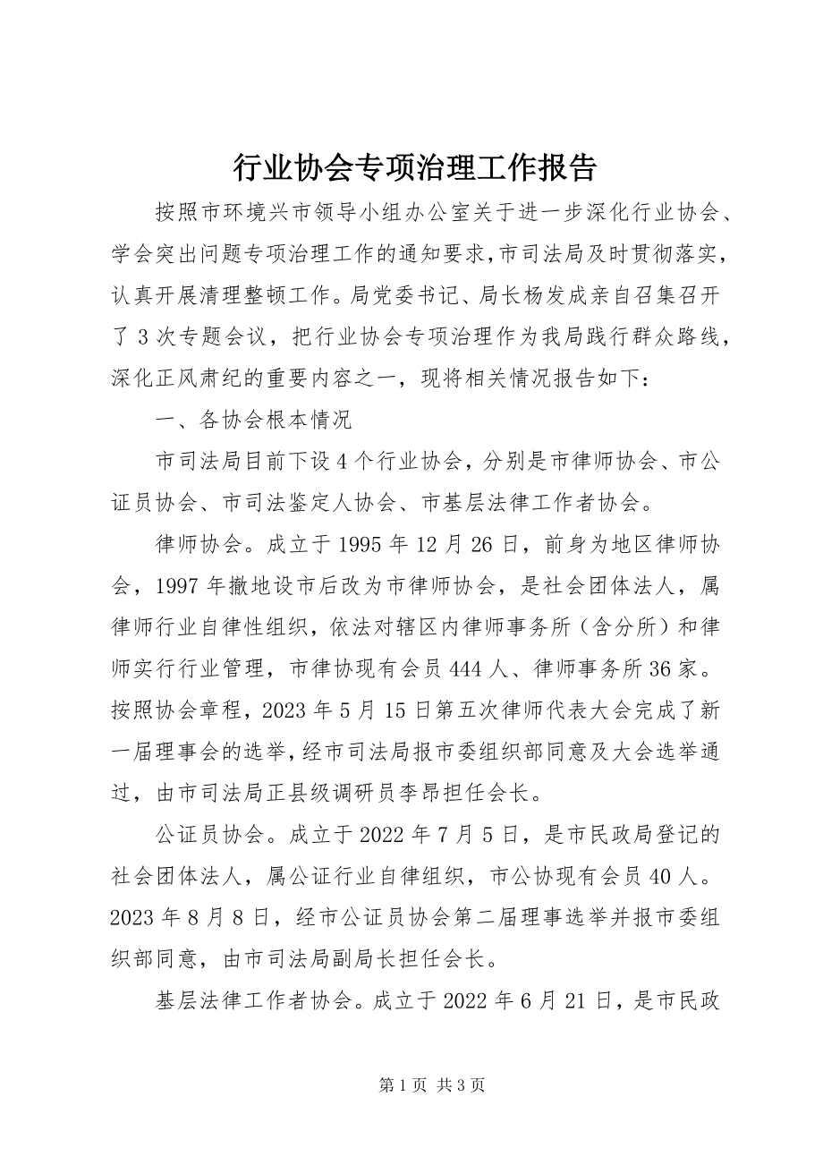 2023年行业协会专项治理工作报告.docx_第1页