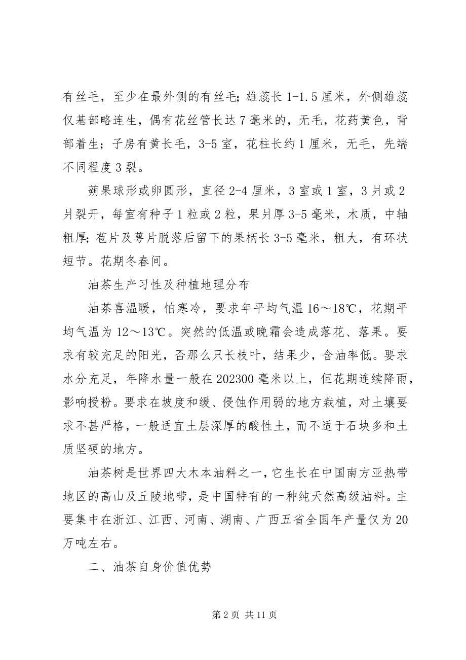 2023年枇杷种植可行性报告.docx_第2页