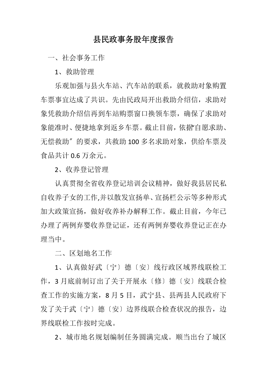 2023年县民政事务股年度报告.docx_第1页