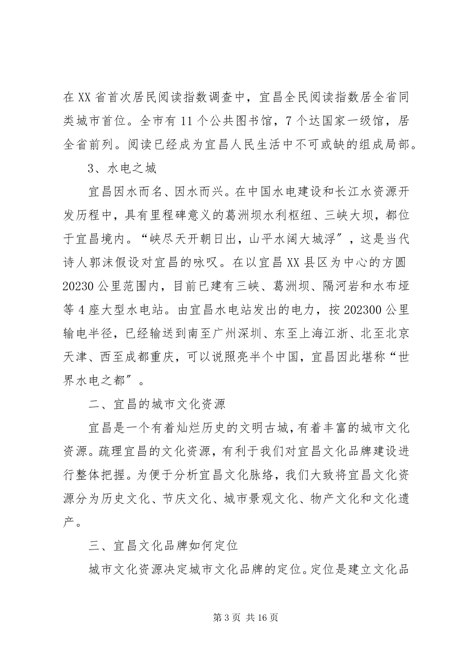 2023年文化品牌调研报告.docx_第3页