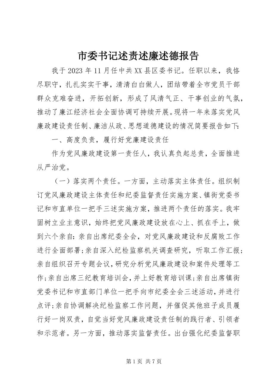 2023年市委书记述责述廉述德报告.docx_第1页