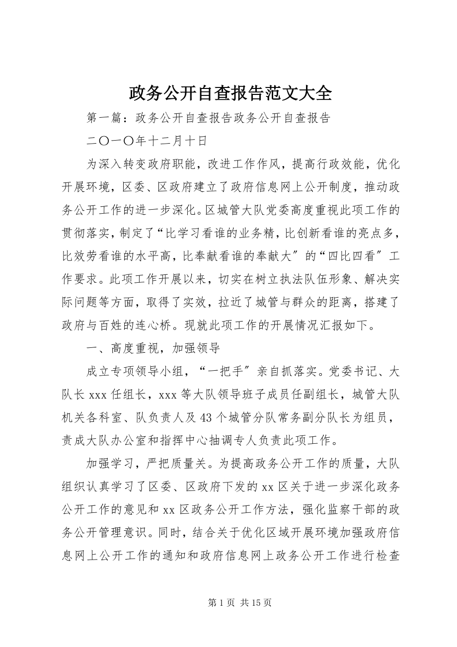 2023年政务公开自查报告大全.docx_第1页