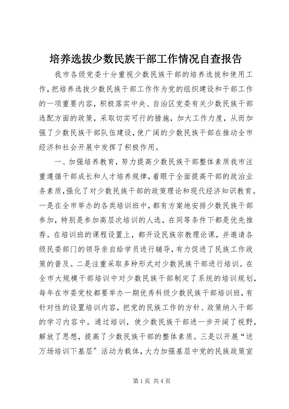 2023年培养选拔少数民族干部工作情况自查报告.docx_第1页