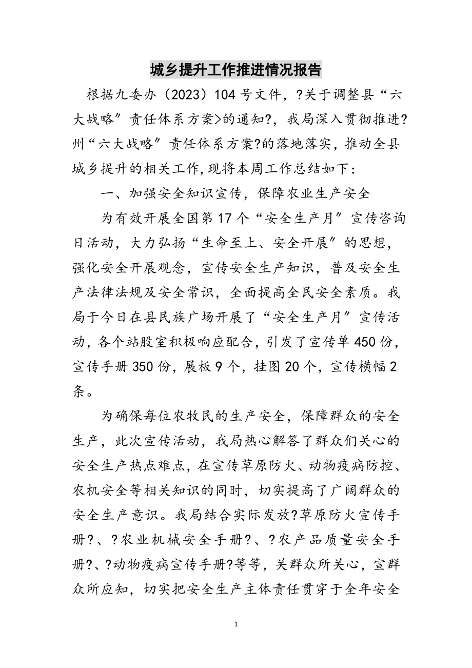 2023年城乡提升工作推进情况报告范文.doc_第1页