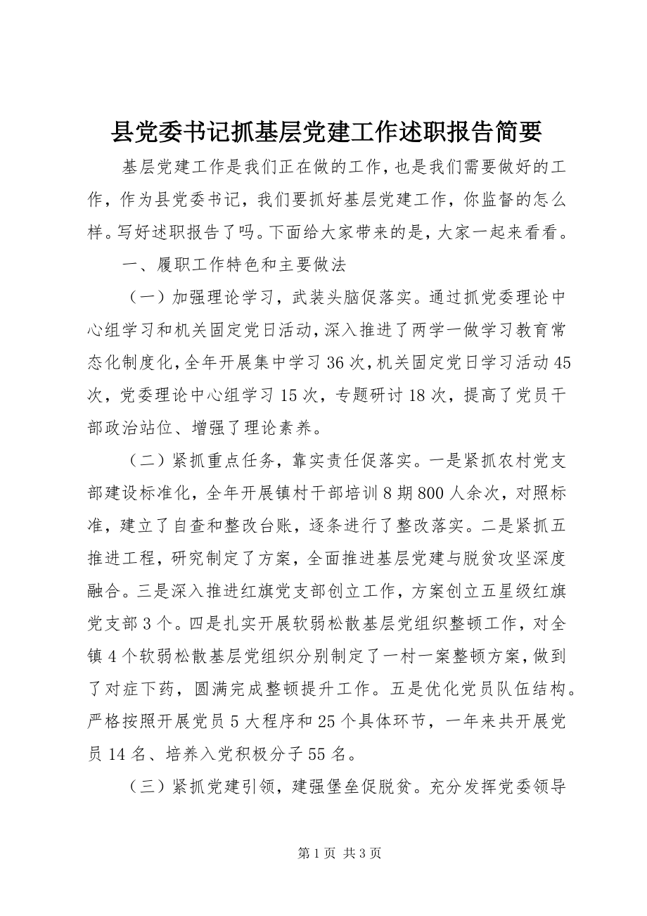 2023年县党委书记抓基层党建工作述职报告简要.docx_第1页