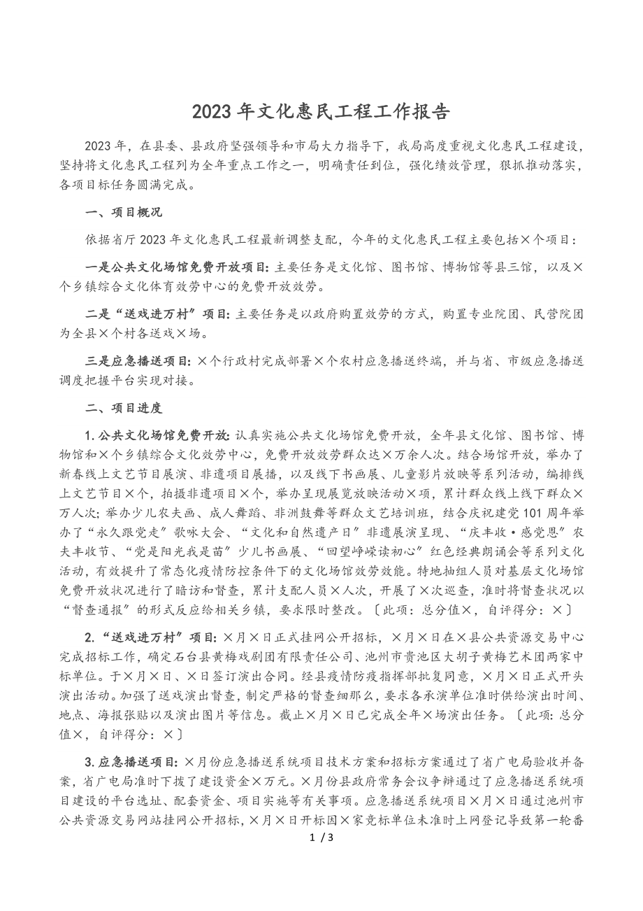 2023年文化惠民工程工作报告.doc_第1页