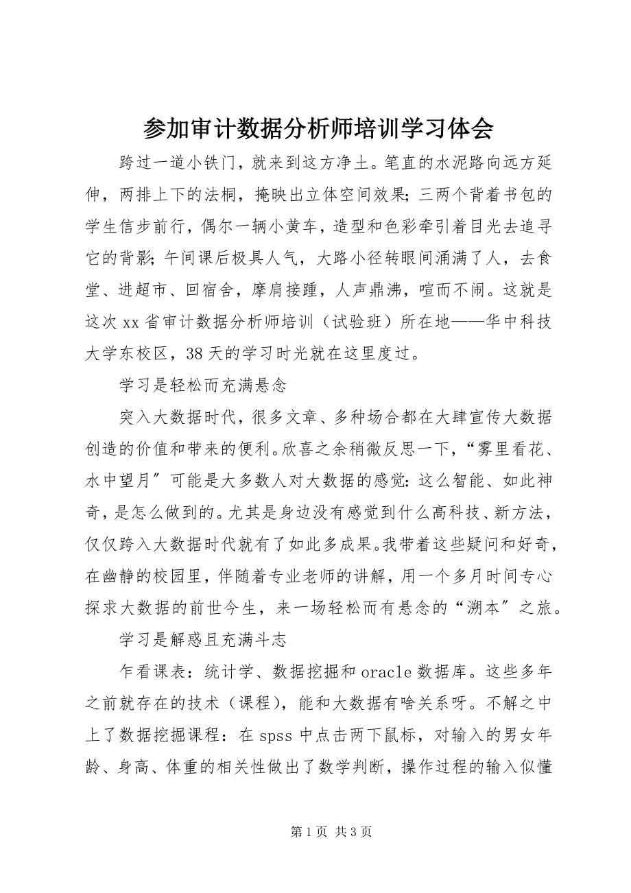 2023年参加审计数据分析师培训学习体会新编.docx_第1页