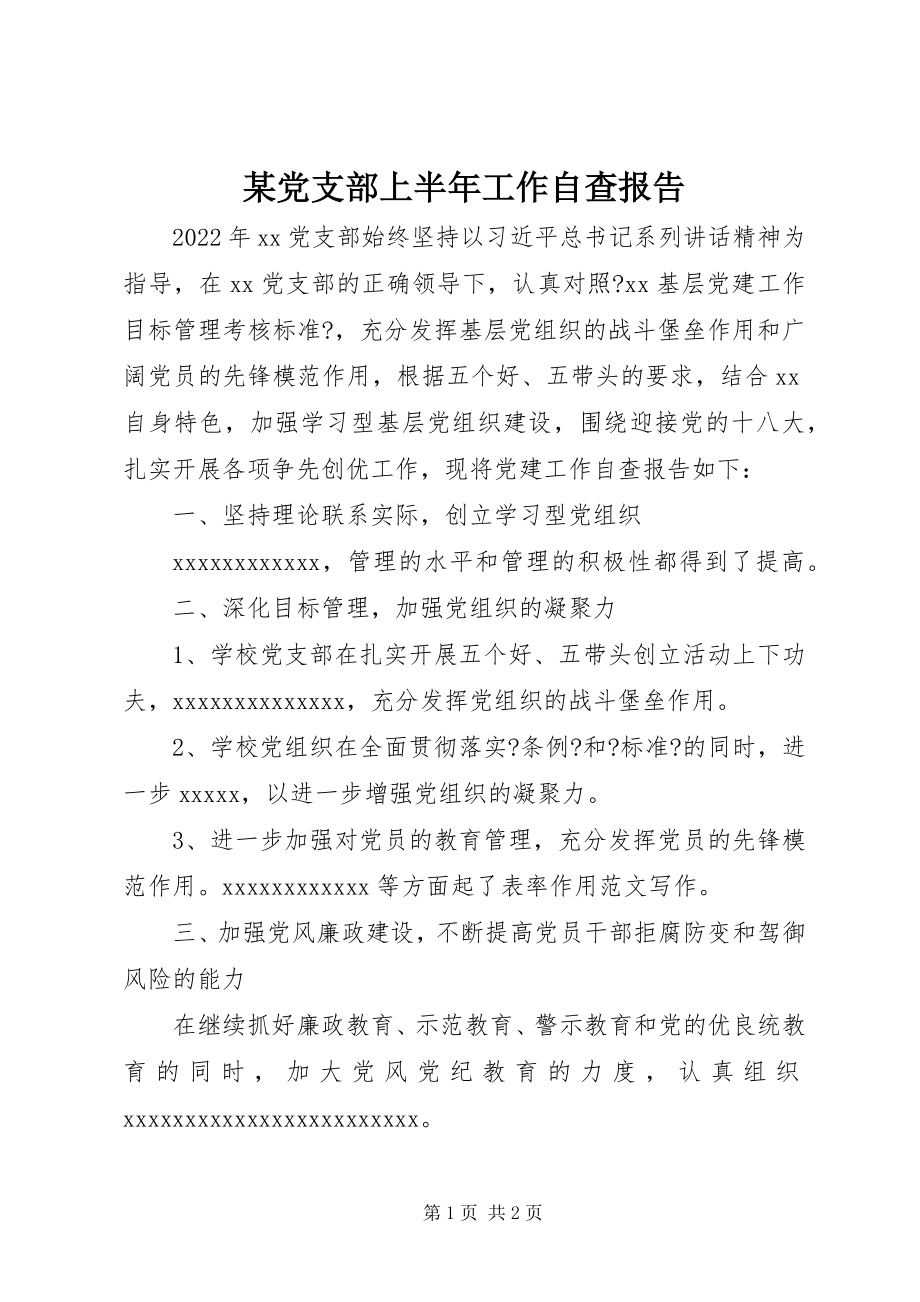 2023年某党支部上半年工作自查报告.docx_第1页