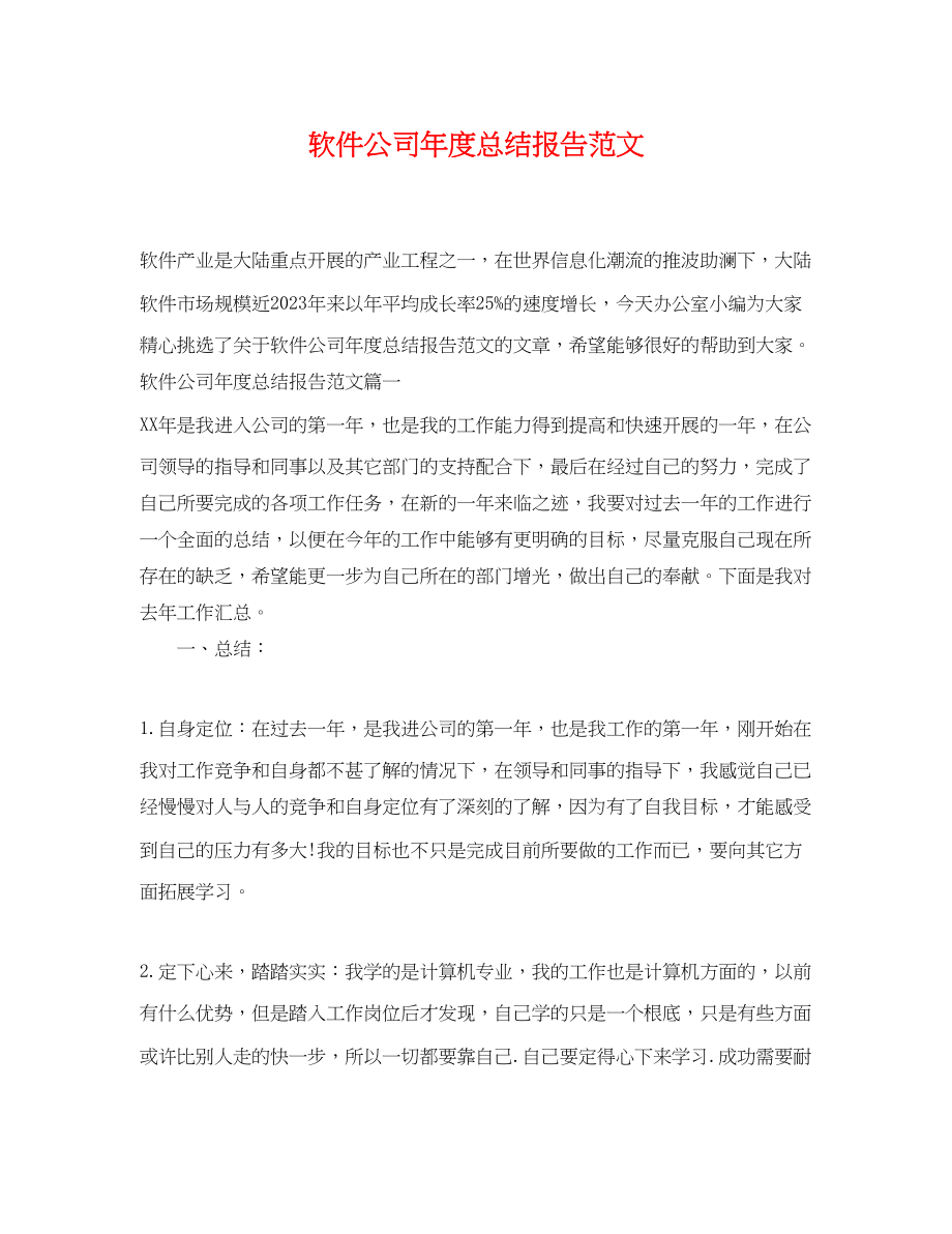 2023年软件公司度总结报告.docx_第1页