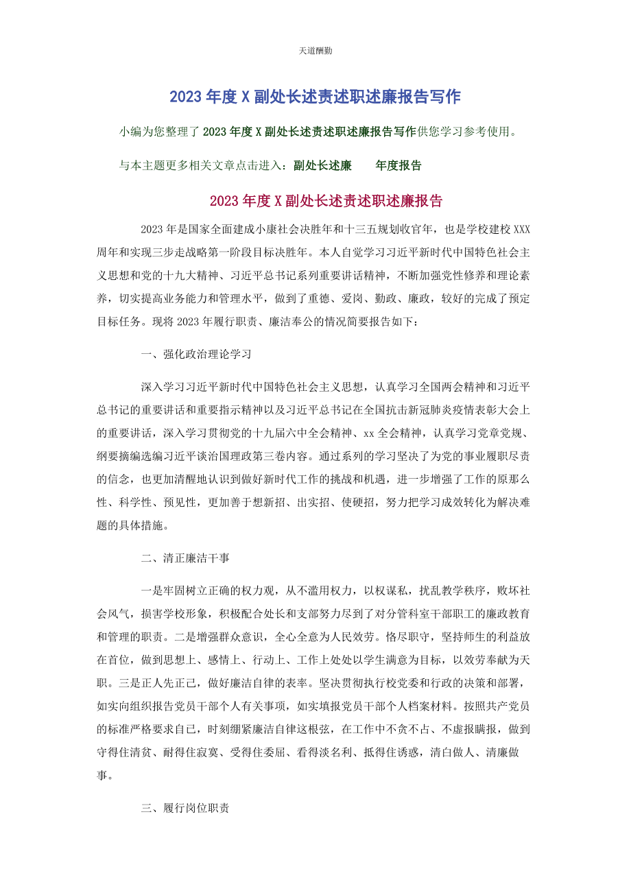 2023年度x副处长述责述职述廉报告写作2.docx_第1页