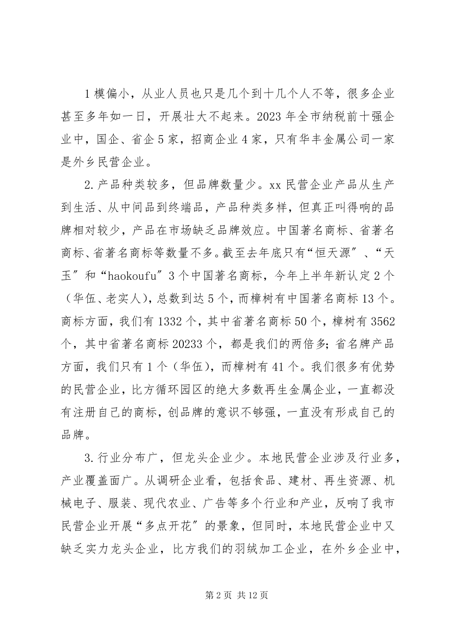 2023年民营经济工作的调研报告.docx_第2页