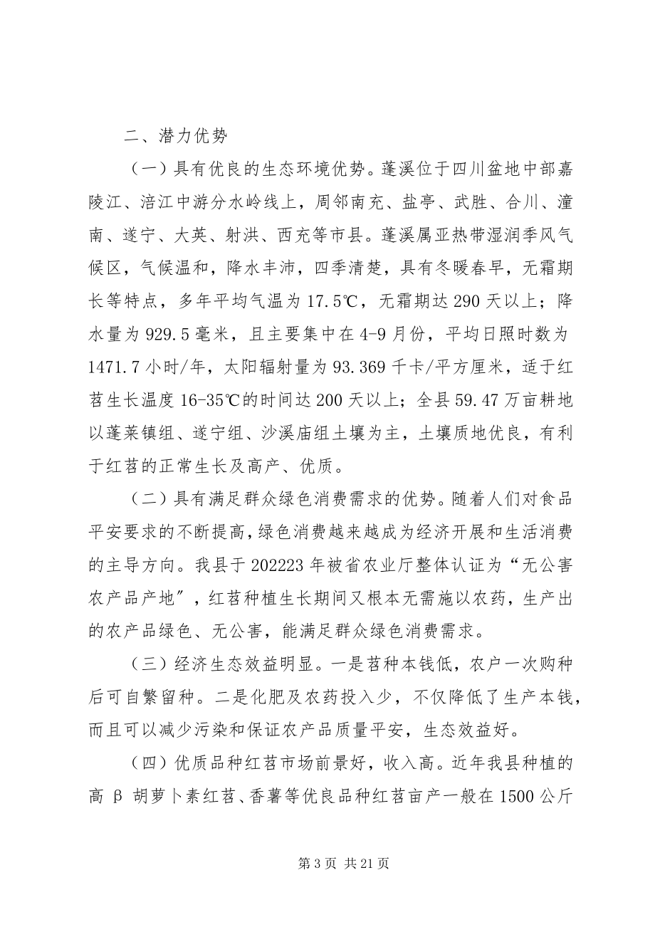 2023年县红苕产业发展的调研报告.docx_第3页