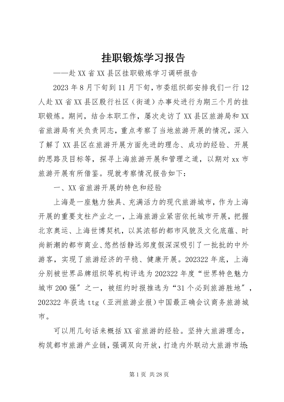 2023年挂职锻炼学习报告.docx_第1页