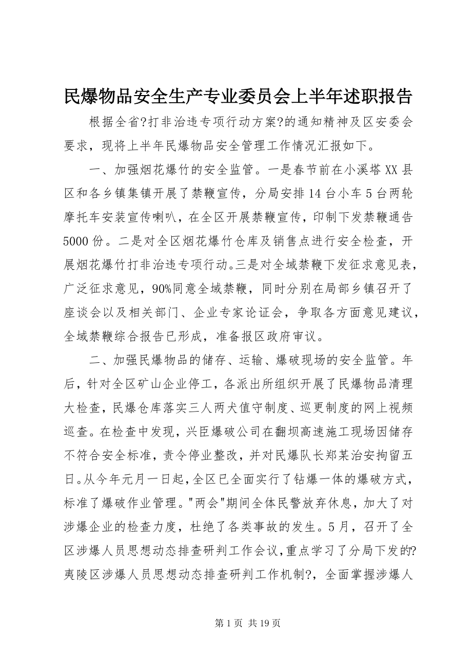 2023年民爆物品安全生产专业委员会上半年述职报告.docx_第1页