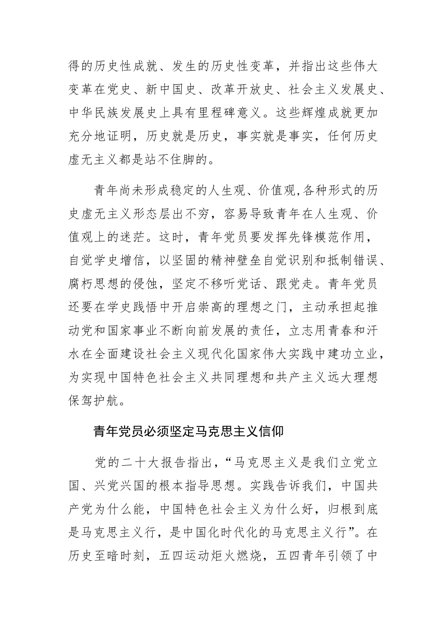 【团市委书记中心组研讨发言】一以贯之坚定理想信念 以青春年华奋进新征程.docx_第2页