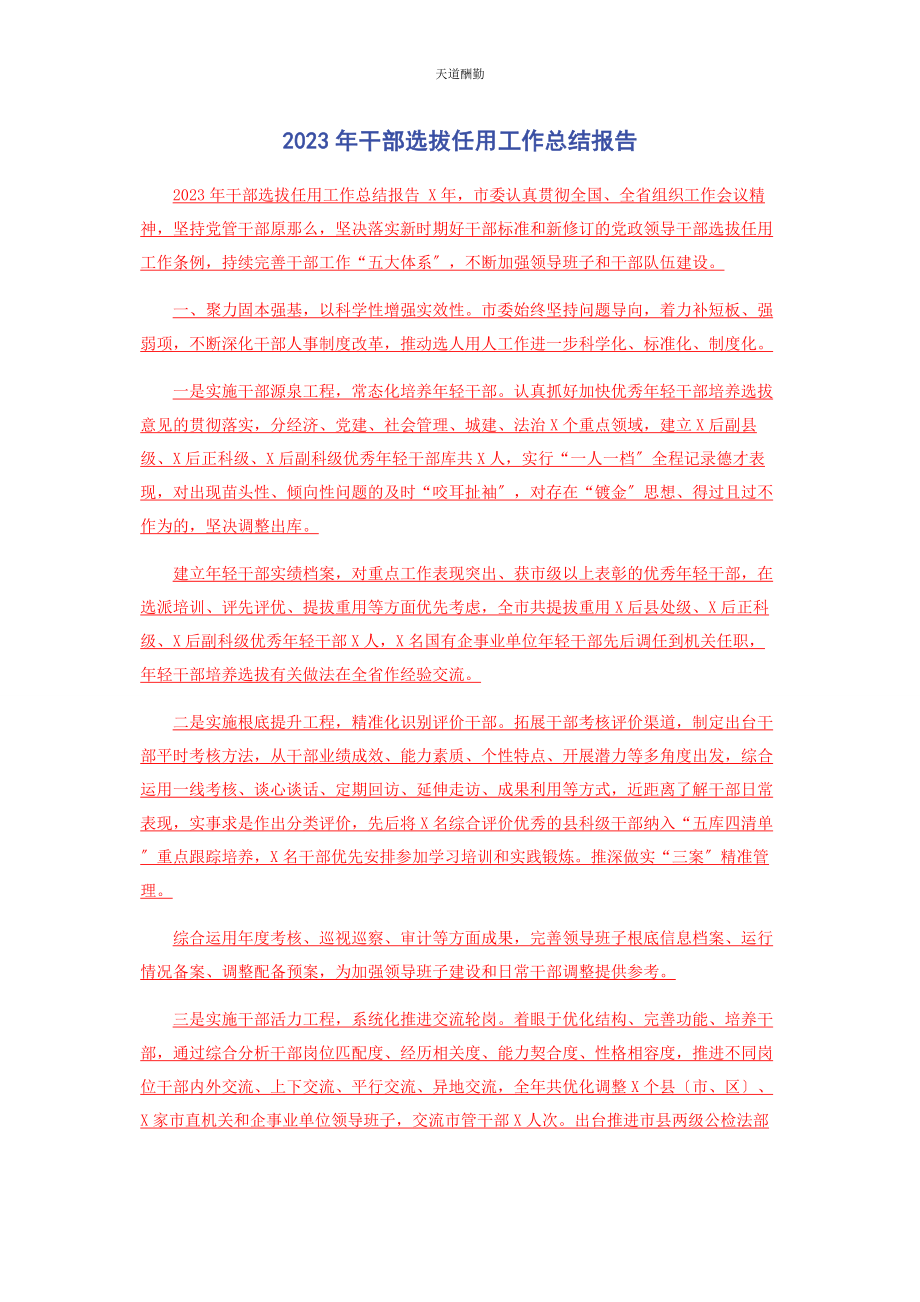 2023年干部选拔任用工作总结报告范文.docx_第1页