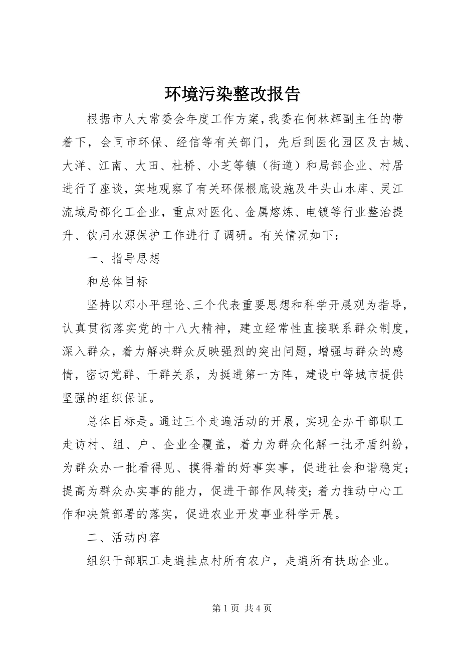 2023年环境污染整改报告.docx_第1页