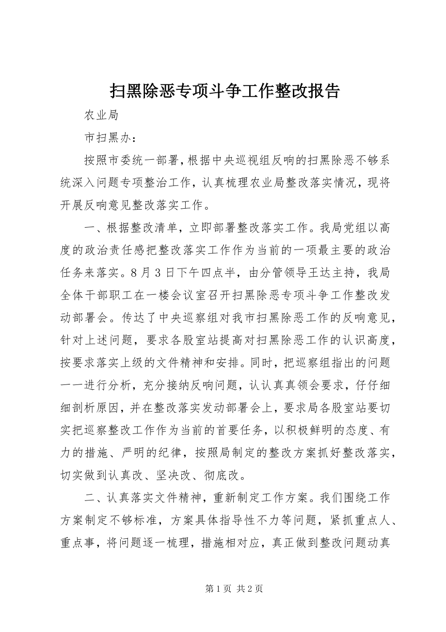 2023年扫黑除恶专项斗争工作整改报告.docx_第1页