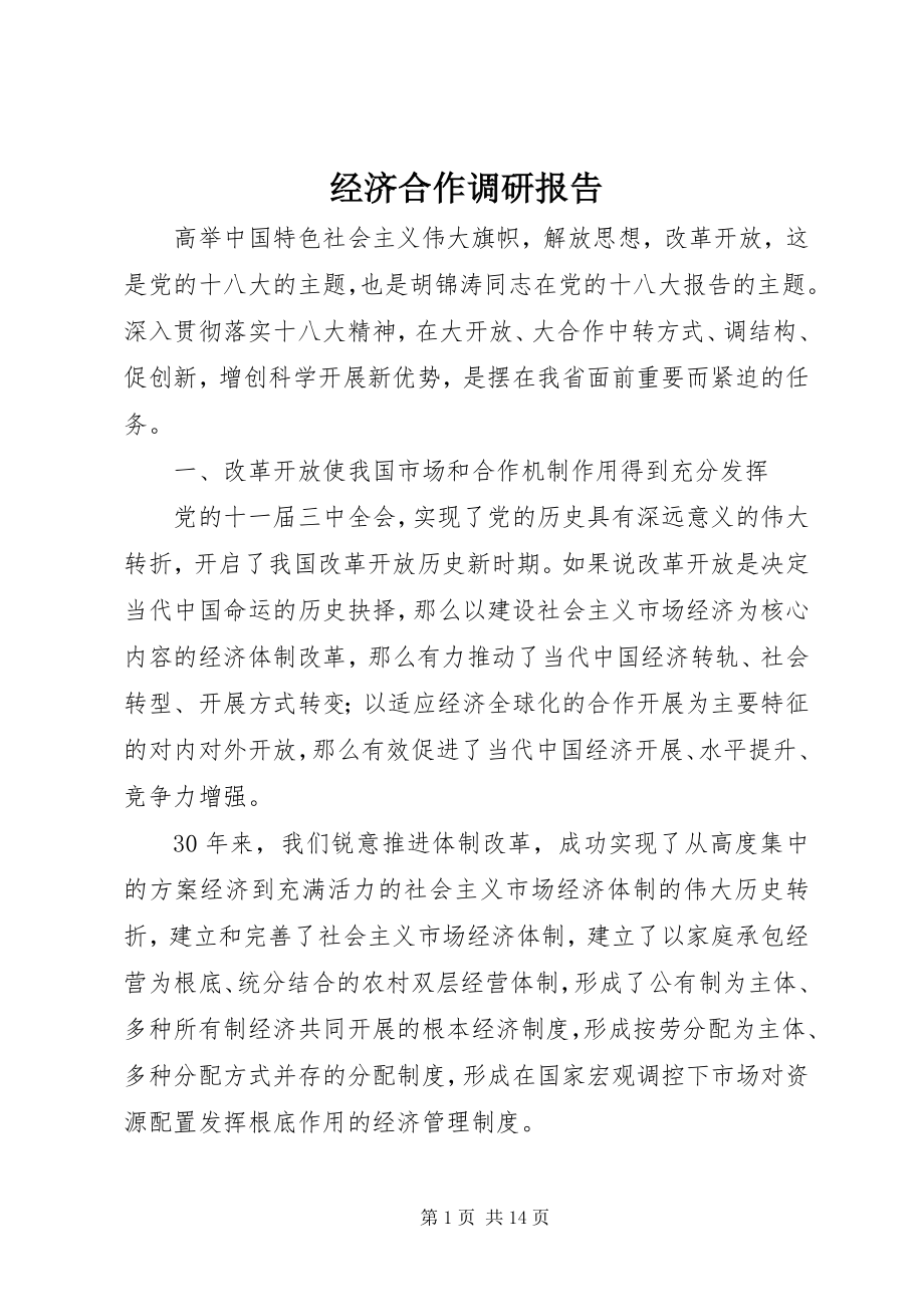 2023年经济合作调研报告.docx_第1页