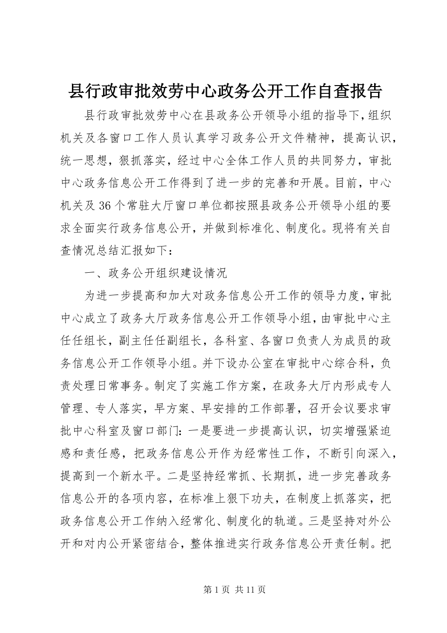 2023年县行政审批服务中心政务公开工作自查报告.docx_第1页