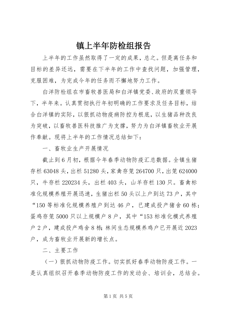 2023年镇上半年防检组报告.docx_第1页