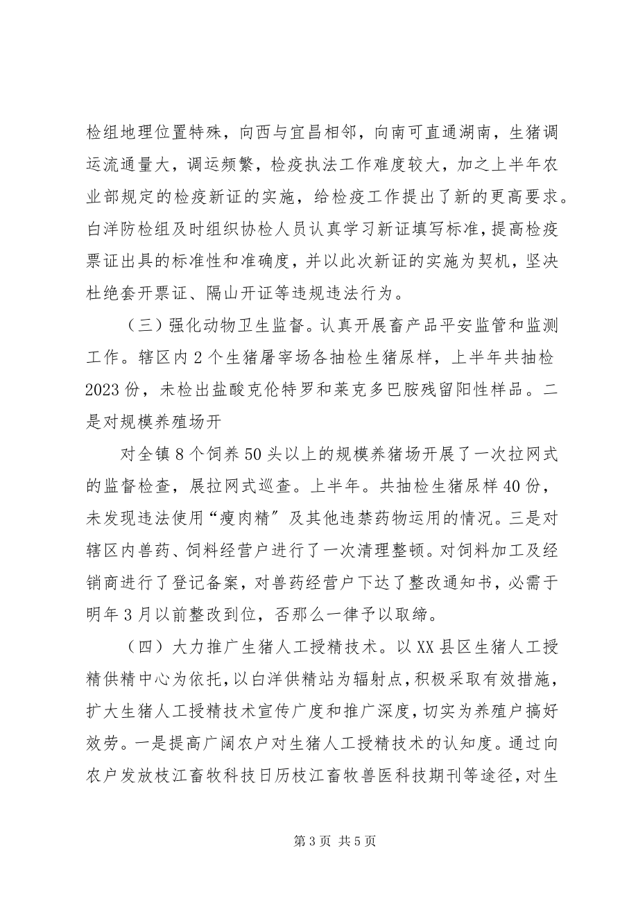 2023年镇上半年防检组报告.docx_第3页