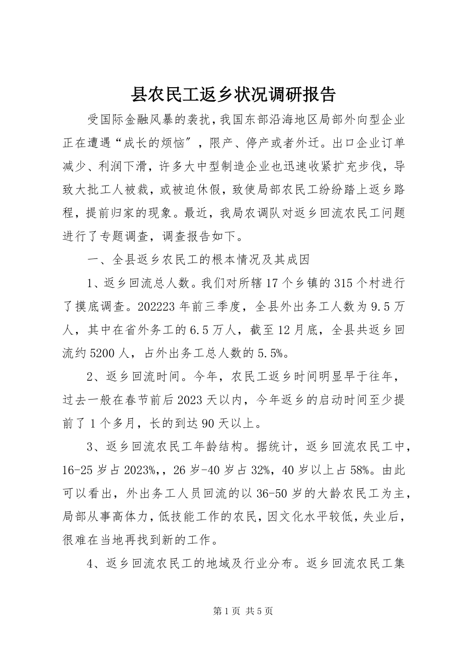 2023年县农民工返乡状况调研报告.docx_第1页