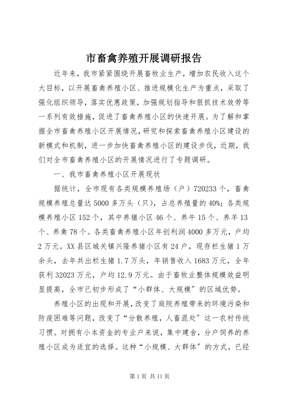 2023年市畜禽养殖发展调研报告.docx_第1页