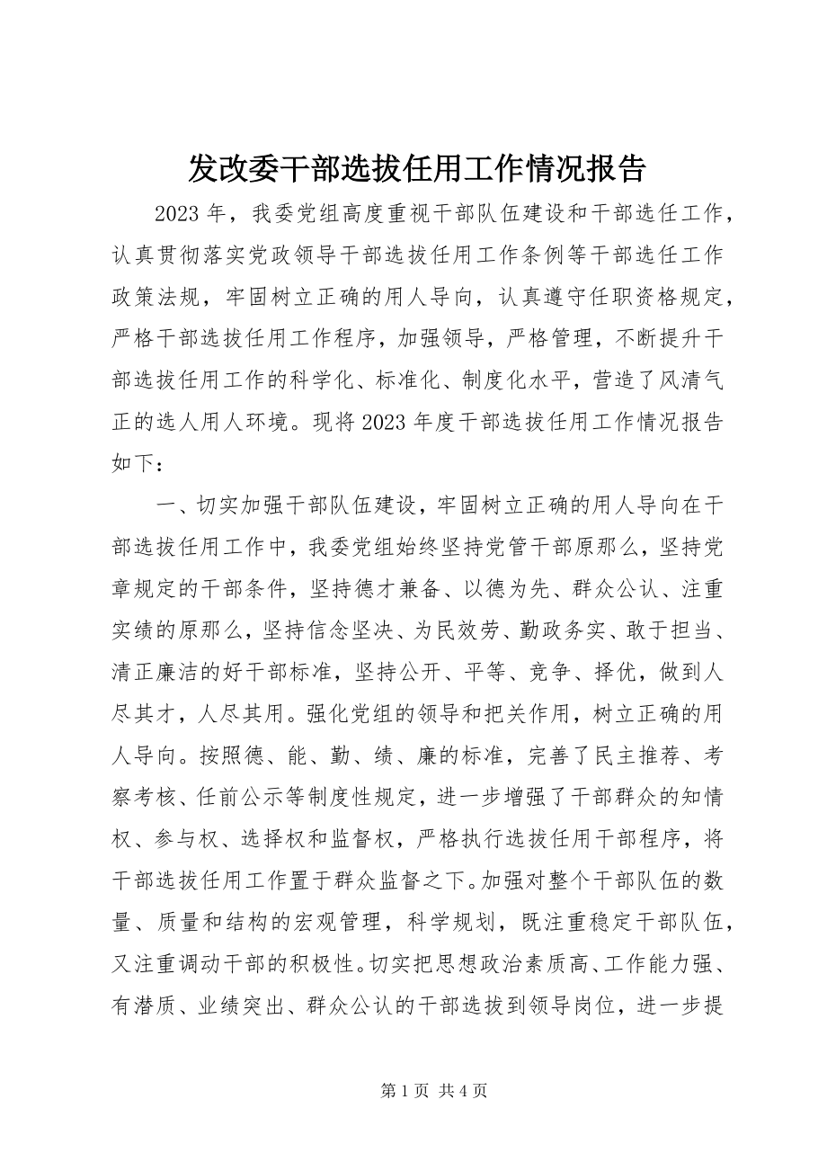 2023年发改委干部选拔任用工作情况报告.docx_第1页