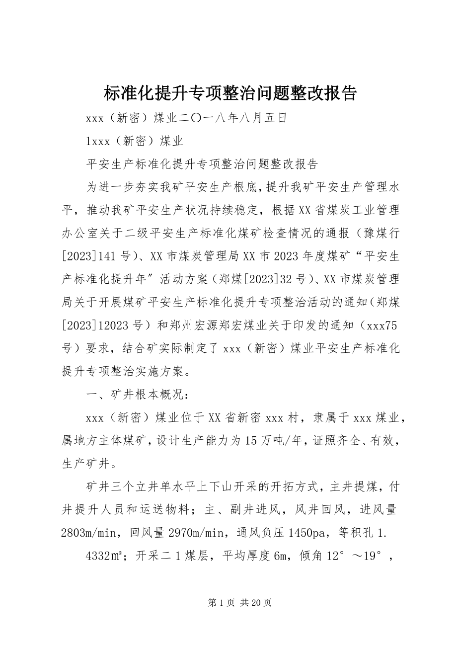 2023年标准化提升专项整治问题整改报告新编.docx_第1页