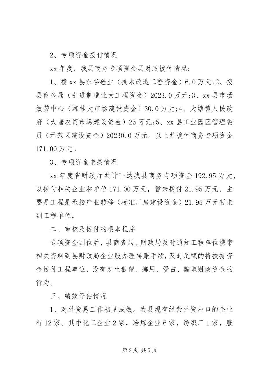 2023年县专项资金自查报告.docx_第2页