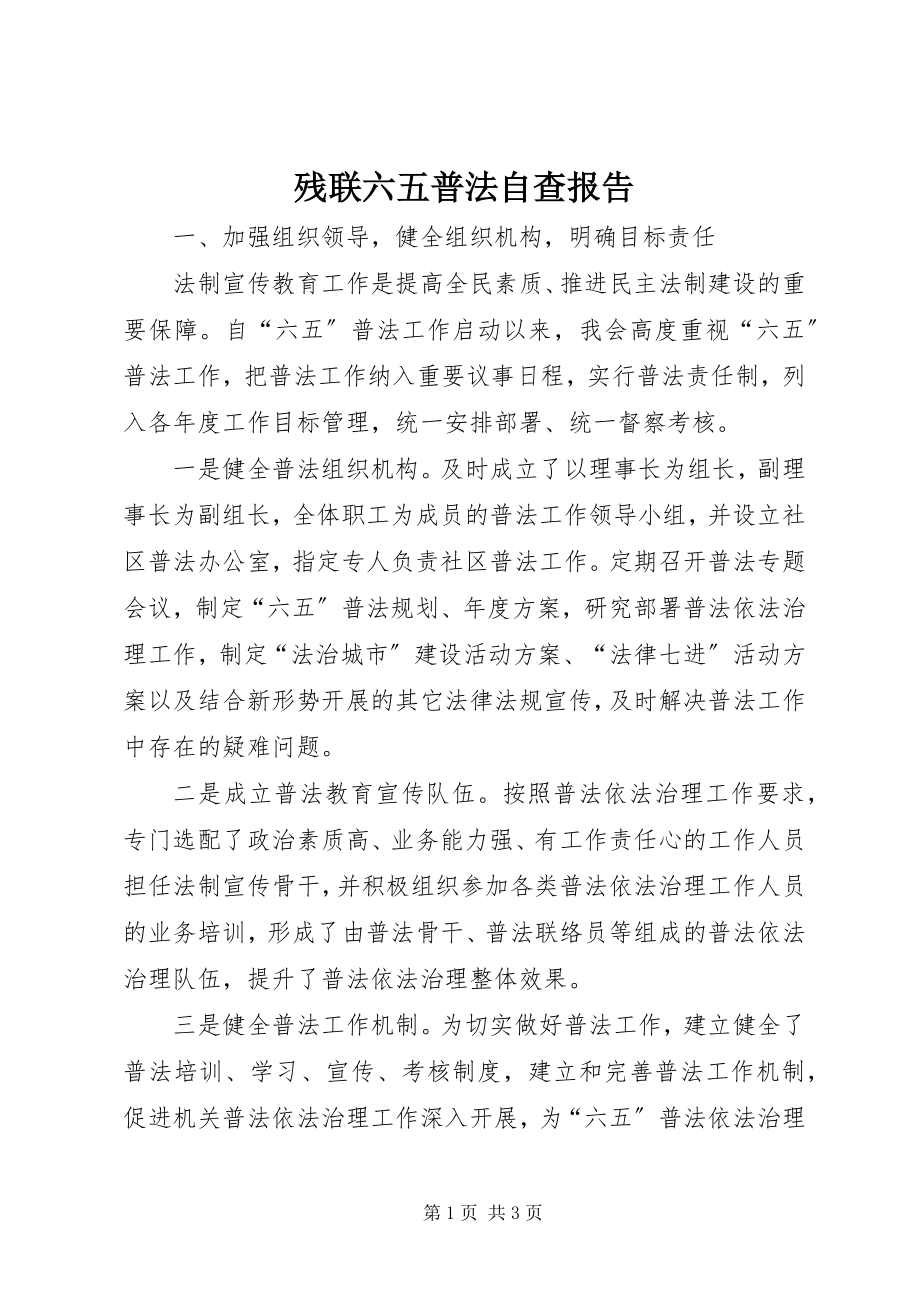 2023年残联六五普法自查报告新编.docx_第1页