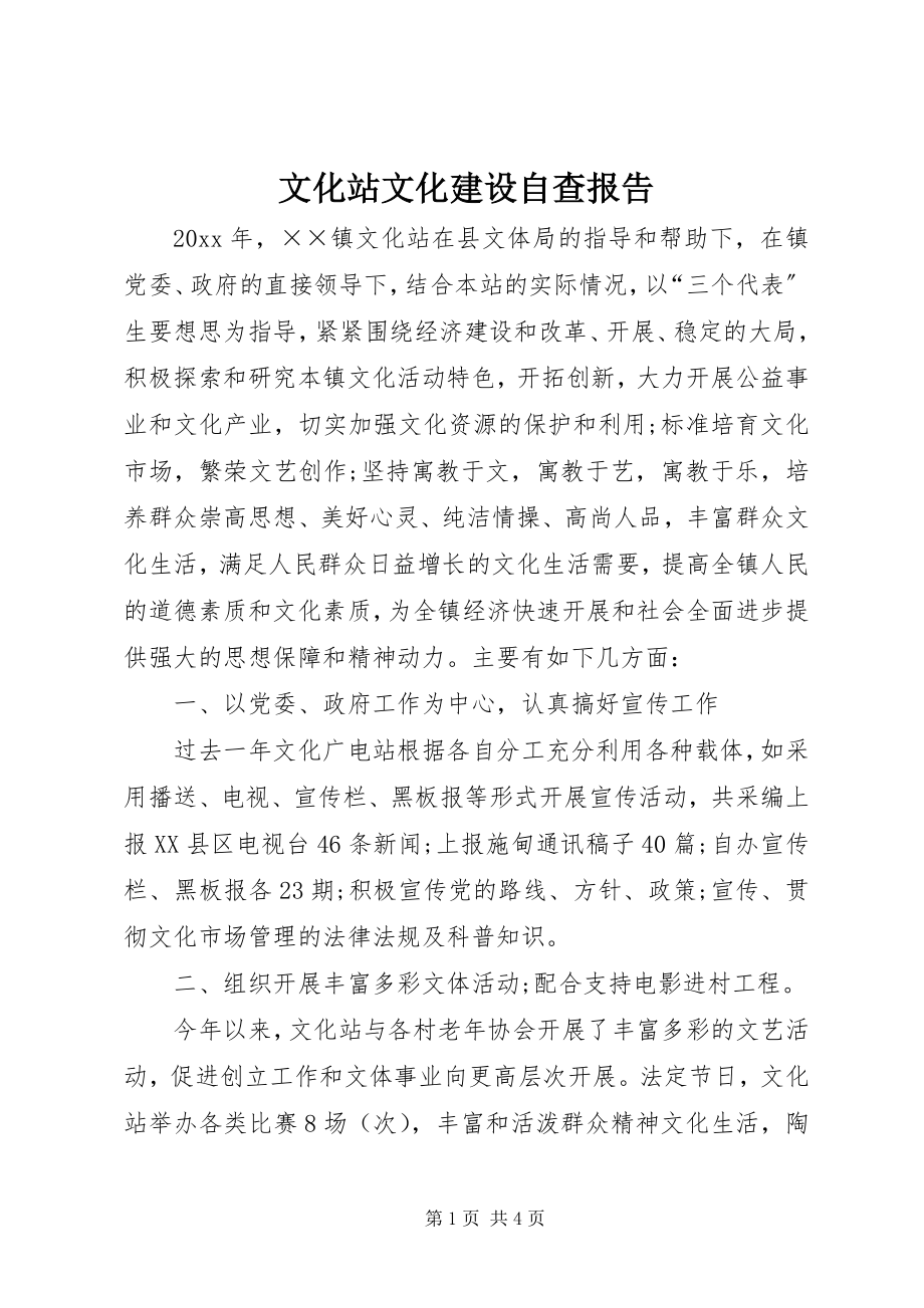 2023年文化站文化建设自查报告.docx_第1页