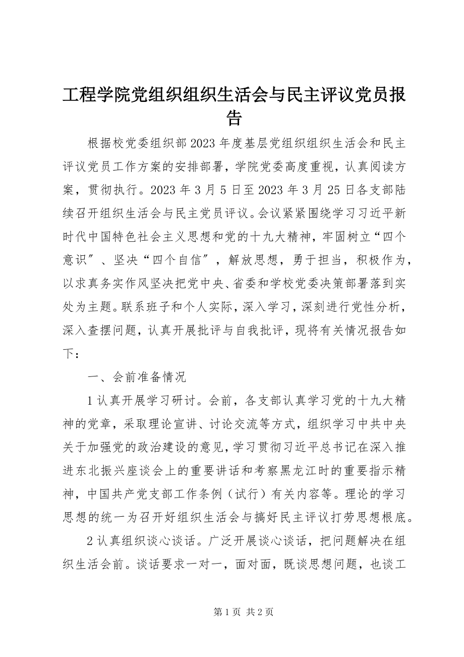 2023年工程学院党组织组织生活会与民主评议党员报告.docx_第1页