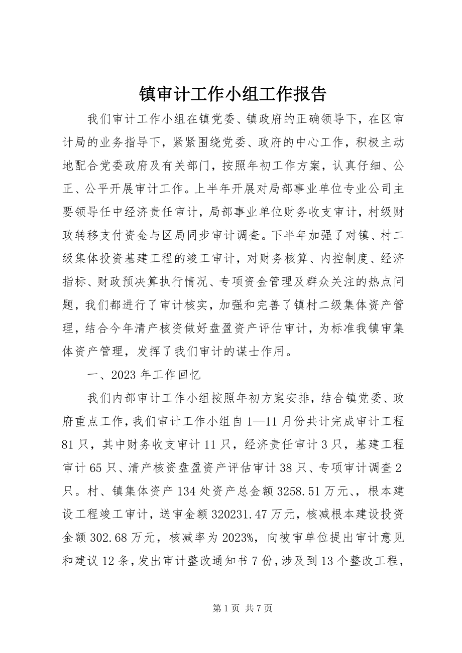 2023年镇审计工作小组工作报告.docx_第1页