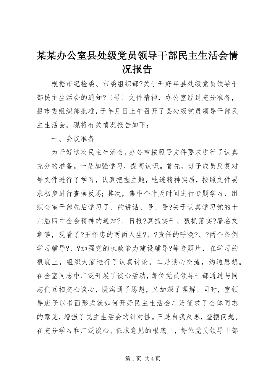 2023年某某办公室县处年级党员领导干部民主生活会情况报告.docx_第1页