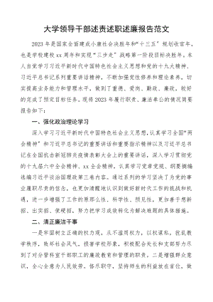 个人述责述廉报告大学领导干部述责述职述廉报告高校副职领导干部范文.doc