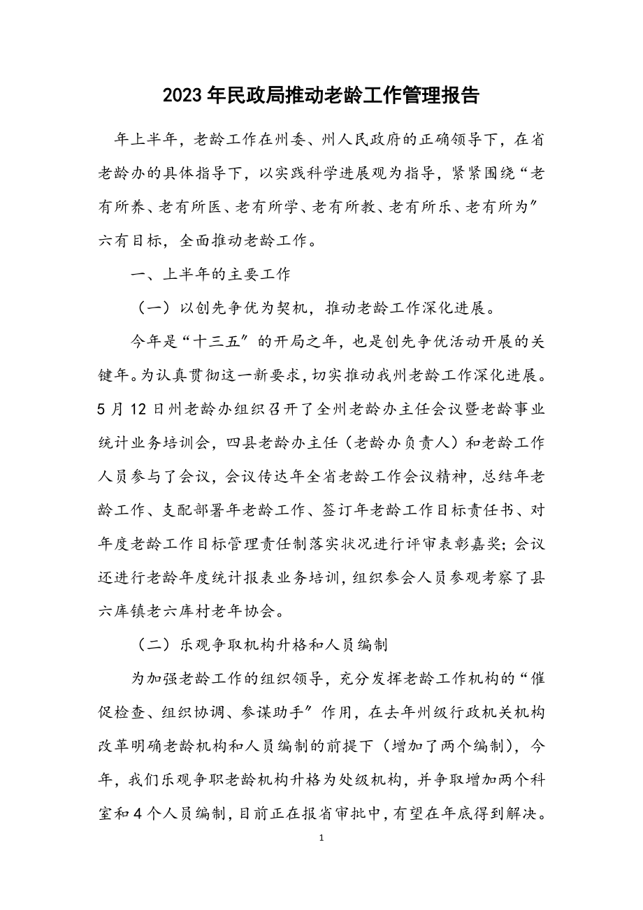 2023年民政局推进老龄工作管理报告.docx_第1页