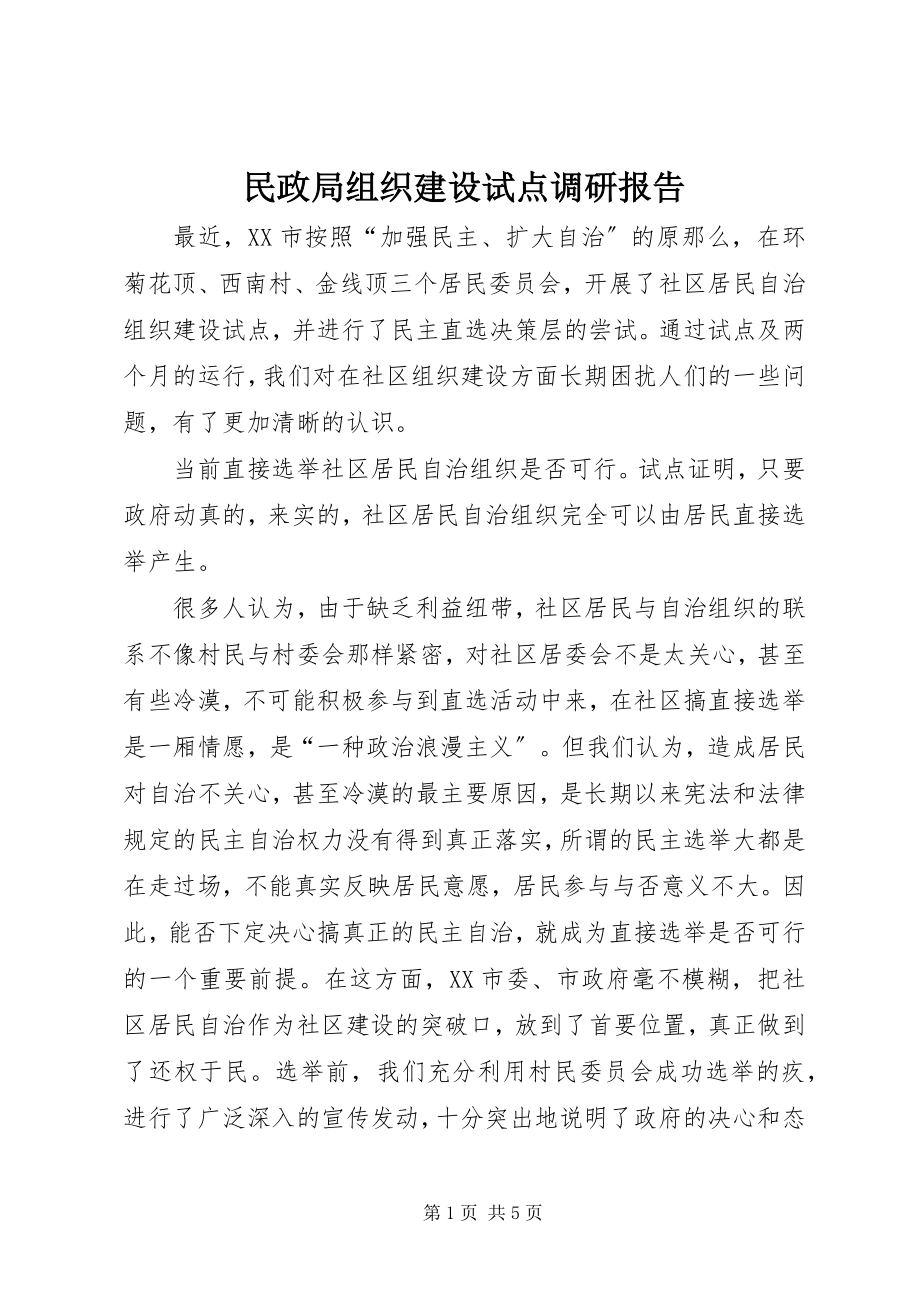 2023年民政局组织建设试点调研报告.docx_第1页