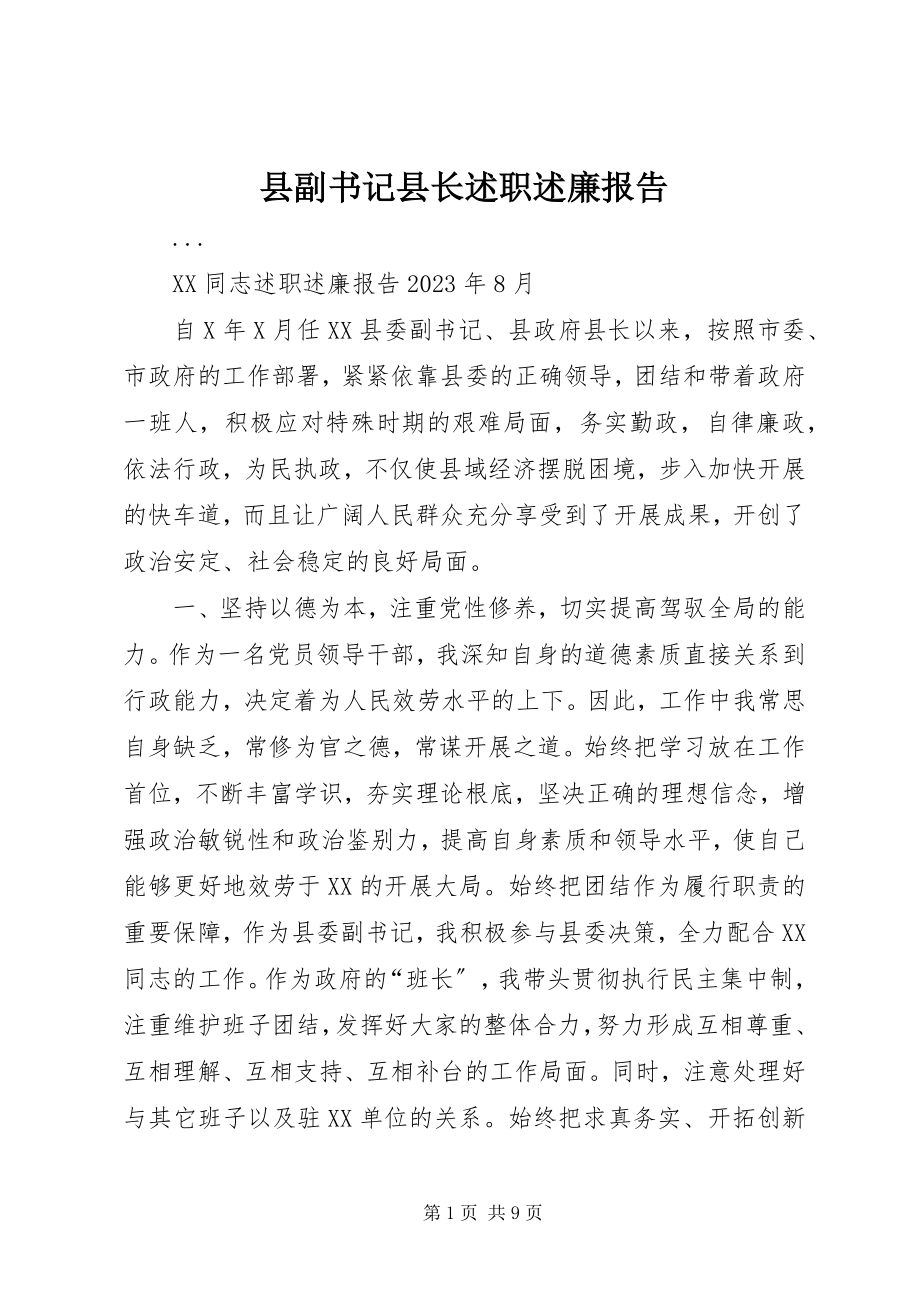 2023年县副书记县长述职述廉报告.docx_第1页