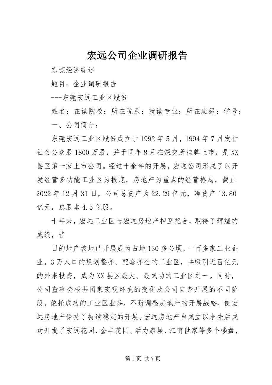 2023年宏远公司企业调研报告.docx_第1页