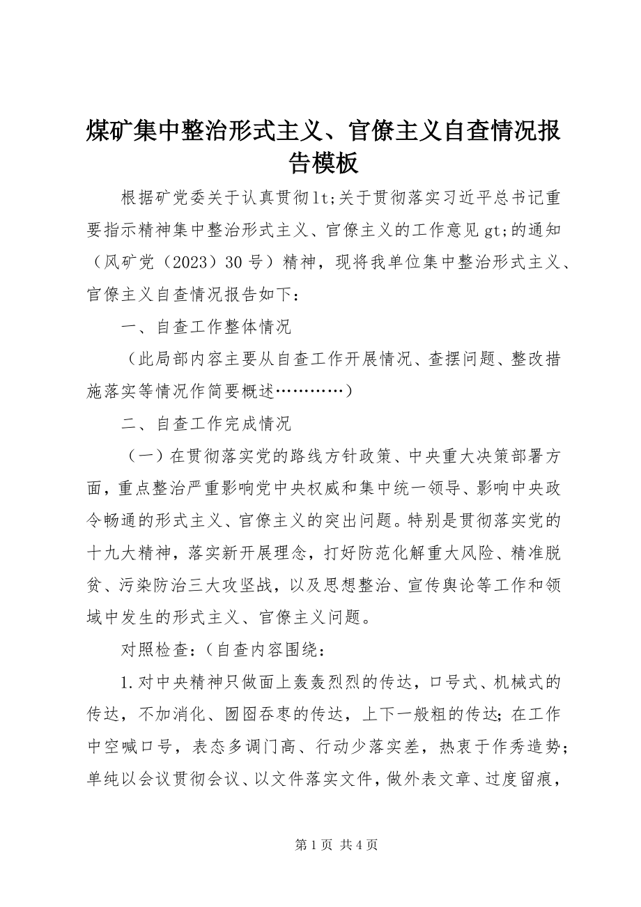 2023年煤矿集中整治形式主义、官僚主义自查情况报告模板.docx_第1页