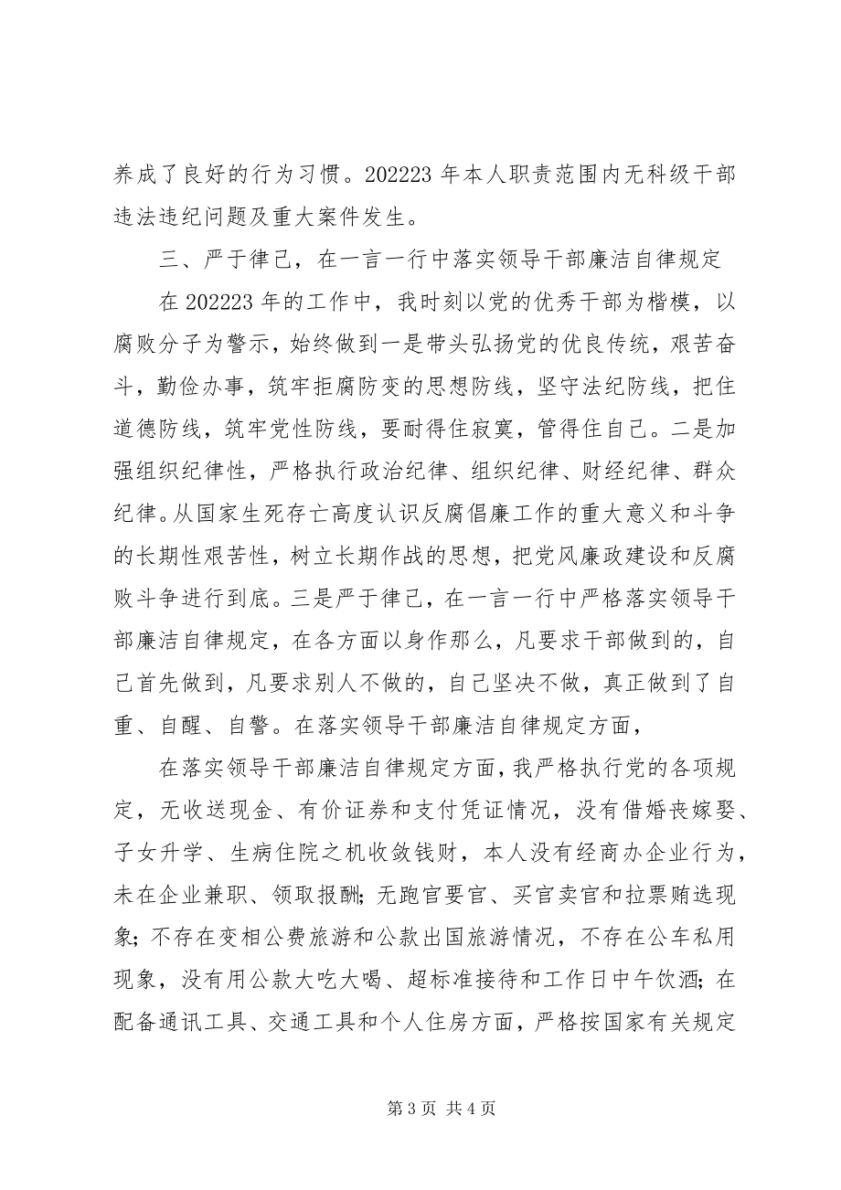 2023年政府调研员政府办副调研员述廉报告.docx_第3页