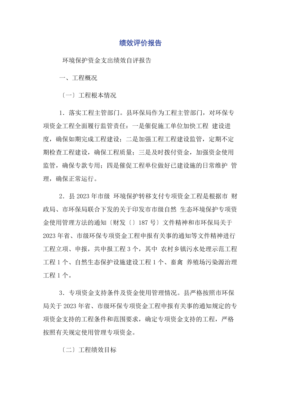 2023年绩效评价报告.docx_第1页