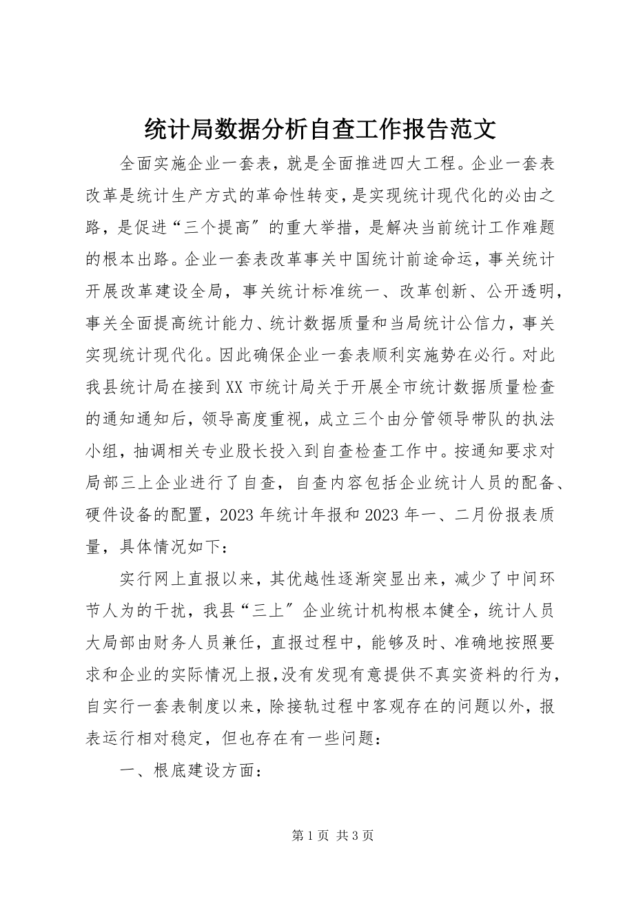 2023年统计局数据分析自查工作报告2.docx_第1页