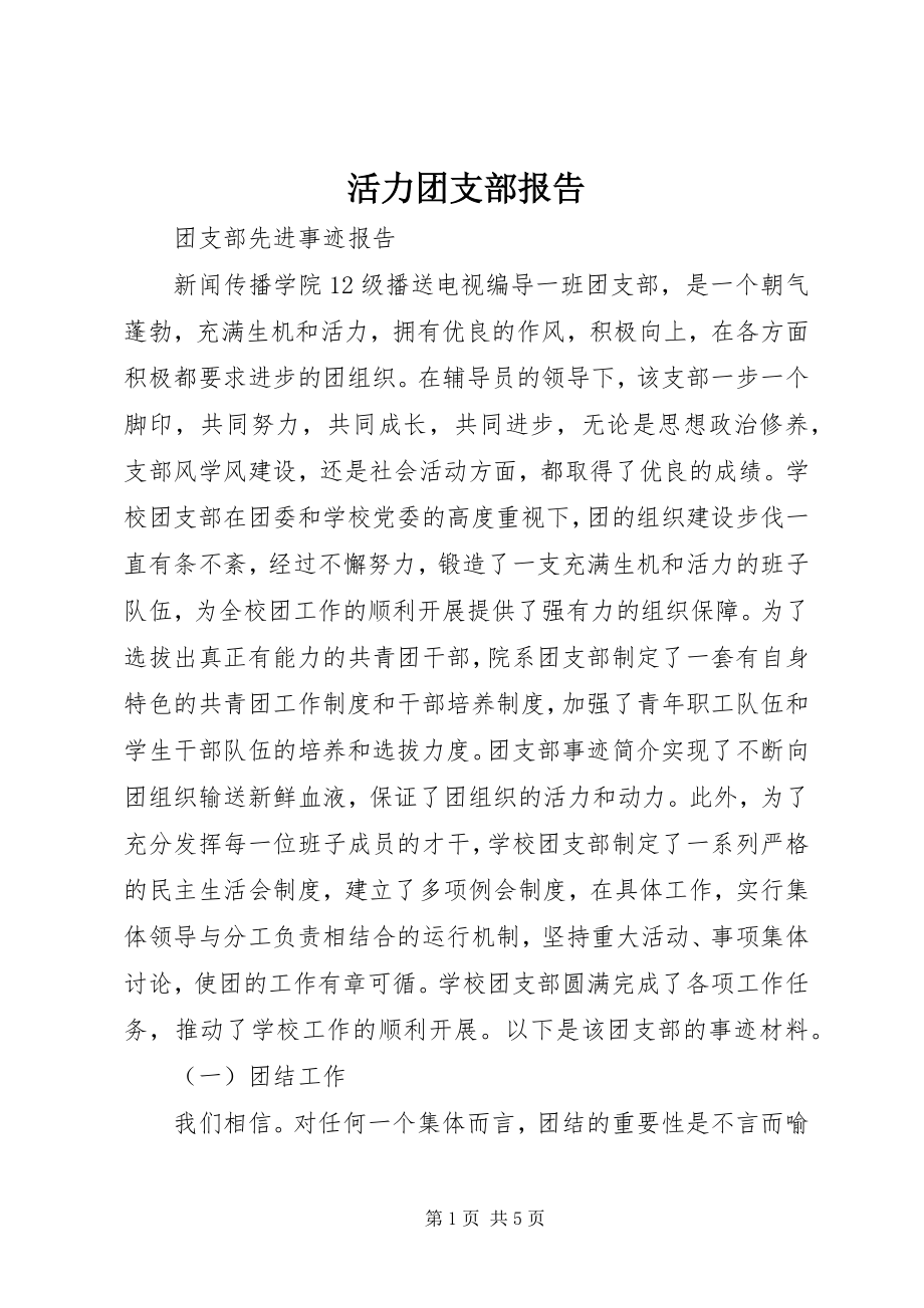 2023年活力团支部报告.docx_第1页