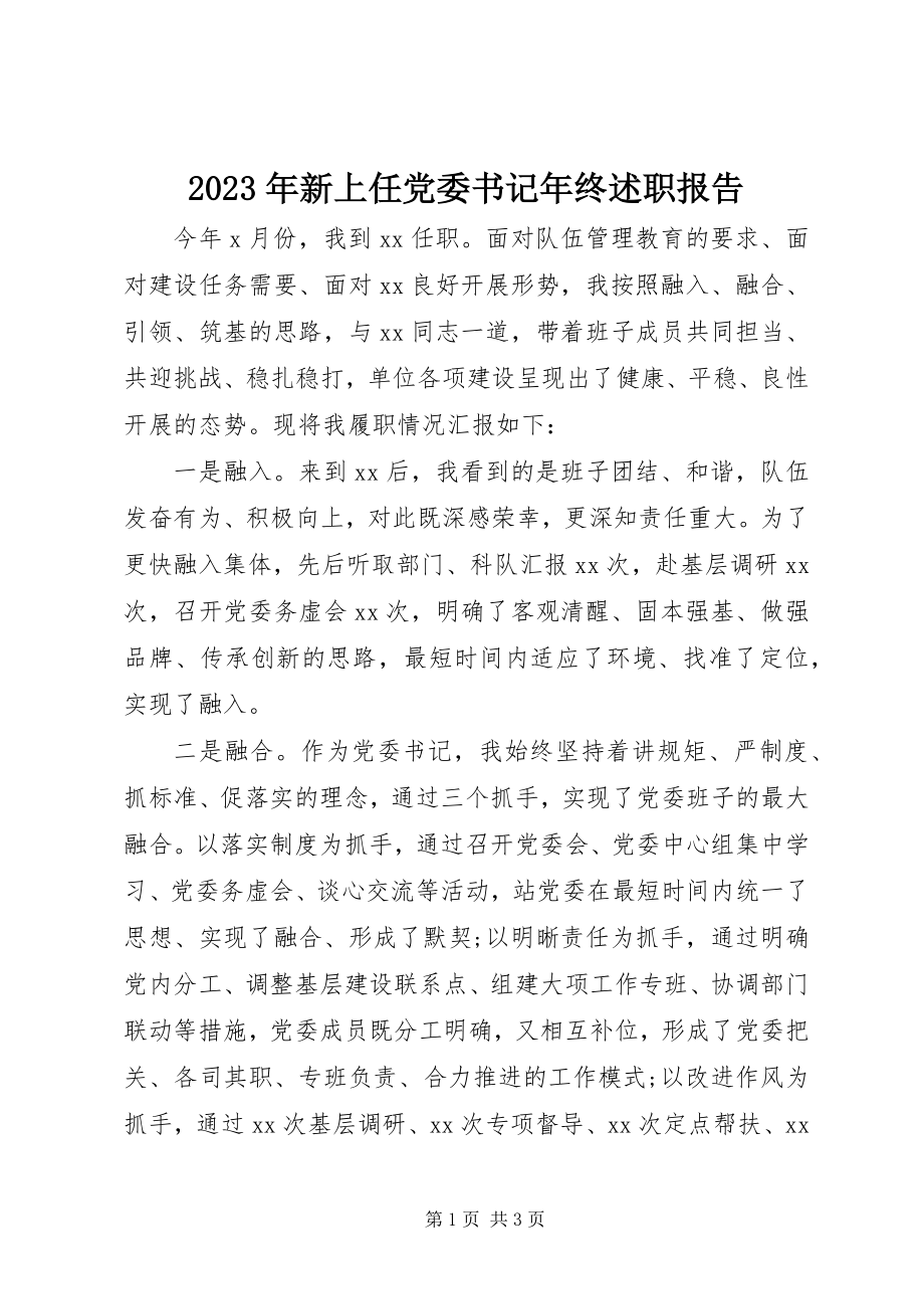 2023年新上任党委书记年终述职报告.docx_第1页